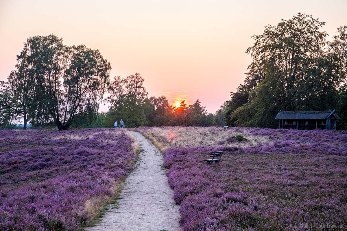 Beliebte Huren, Nutten und Bordelle in Heide