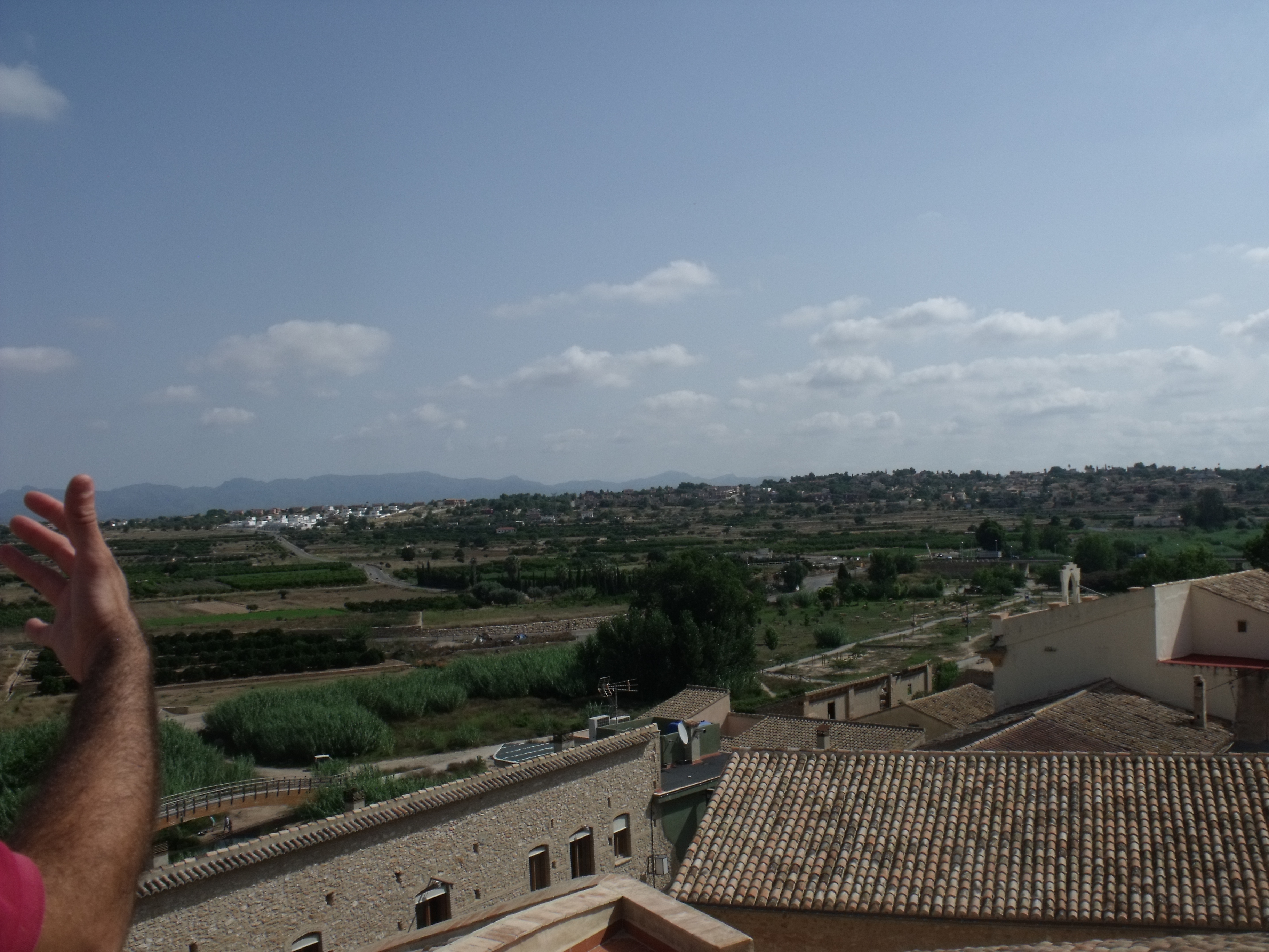 Ribarroja del Turia, Valencia zorra