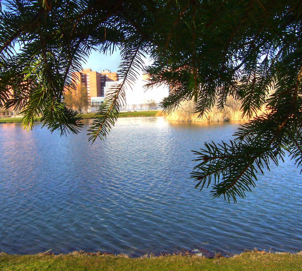 Fend Prostituta en Laguna de Duero, Castilla y León