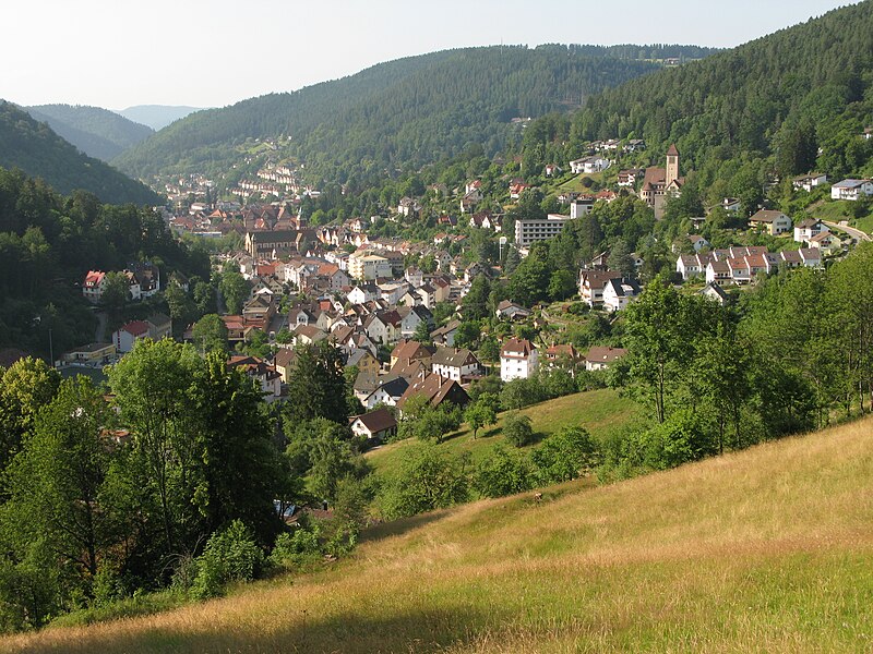 Telefonnummer von Prostituierte in Schramberg, Deutschland